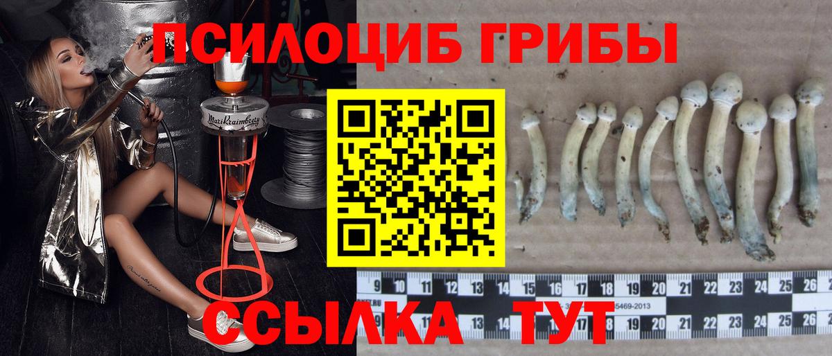 Десногорск  закладки  Вход с VPN  Псилоцибиновые грибы прущие грибы 